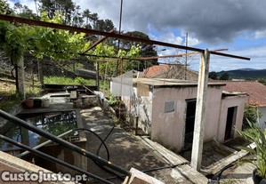 imagem_10