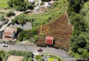 imagem_12