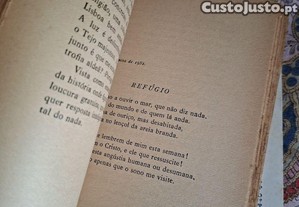 imagem_8