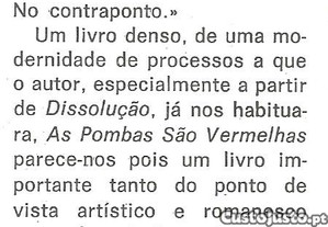imagem_8