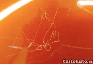 imagem_11