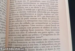 imagem_3