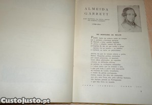 imagem_6