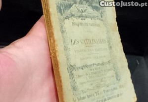 imagem_3