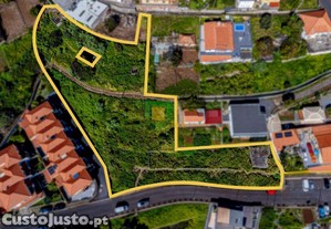 imagem_3