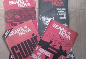 imagem_3