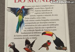 imagem_7