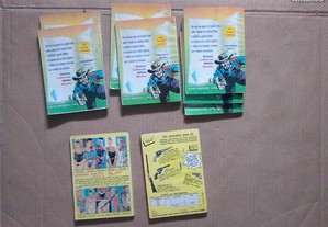 imagem_2