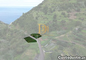 imagem_2