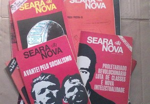 imagem_4