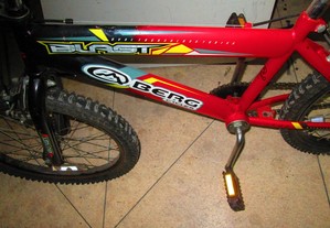 Bicicleta marca Berg