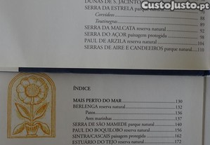 imagem_8