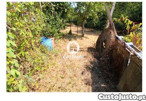 imagem_7