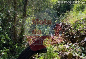 imagem_13