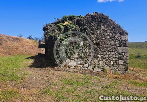 imagem_8