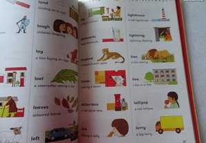 imagem_2