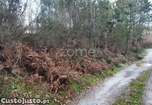 Terreno Em Calde, Almargem (Viseu) - 1300 M2