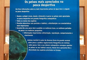 imagem_2