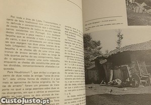 imagem_7