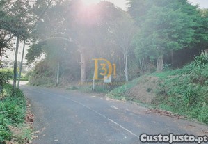 imagem_15