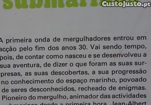 imagem_8