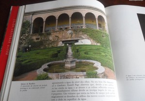 imagem_4