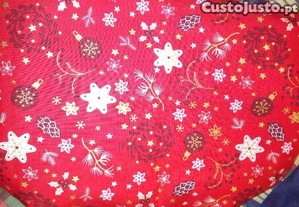 imagem_3