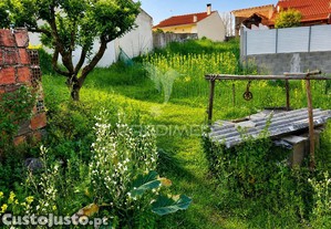 imagem_7