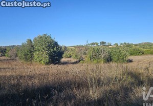 Terreno Agrícola em Santa Bárbara de Nexe