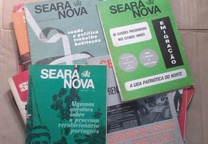 imagem_6