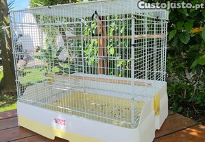 imagem_2