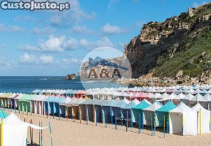imagem_11