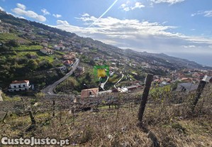 imagem_12
