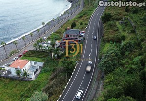 imagem_8