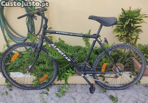 Bicicleta grtis precisa restauro