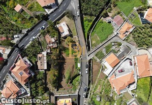 imagem_21