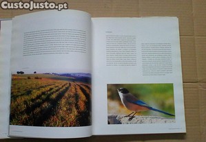 imagem_5