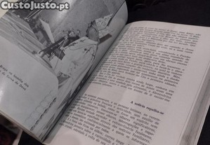 imagem_3