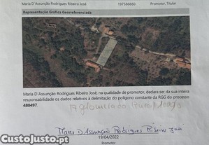 imagem_21