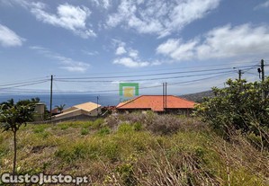 imagem_7