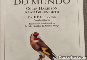 imagem_3