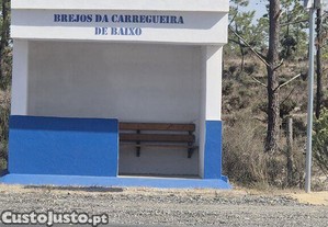 imagem_33