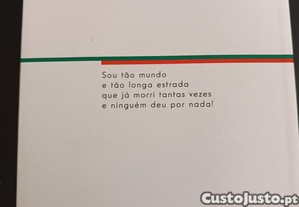 imagem_8