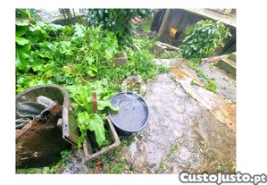 imagem_28