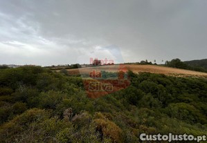imagem_7