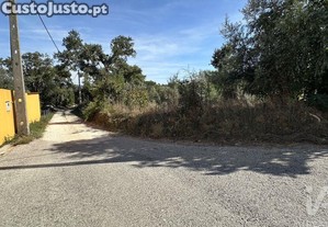 imagem_8