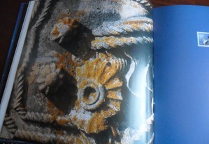 imagem_6