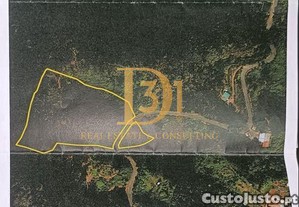 imagem_23