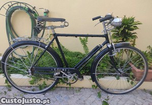 Bicicleta terri classica