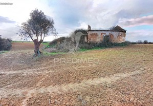 Terreno misto com ruína , com uma área 8 960m2 , na localidade casével / santarém.